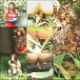 As practice continues on, cheerleaders excuse themselves from the group to relieve themselves in various outdoor locations. Their abandoned messes are viewed by the cameraman. Over 1.5 hours. 451MB, MP4 file requires high-speed Internet.